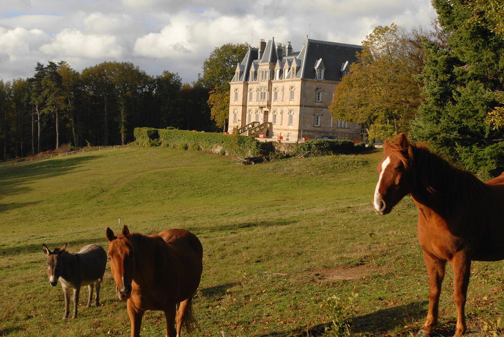 Отель Chateau Des Faugs Boffres Экстерьер фото